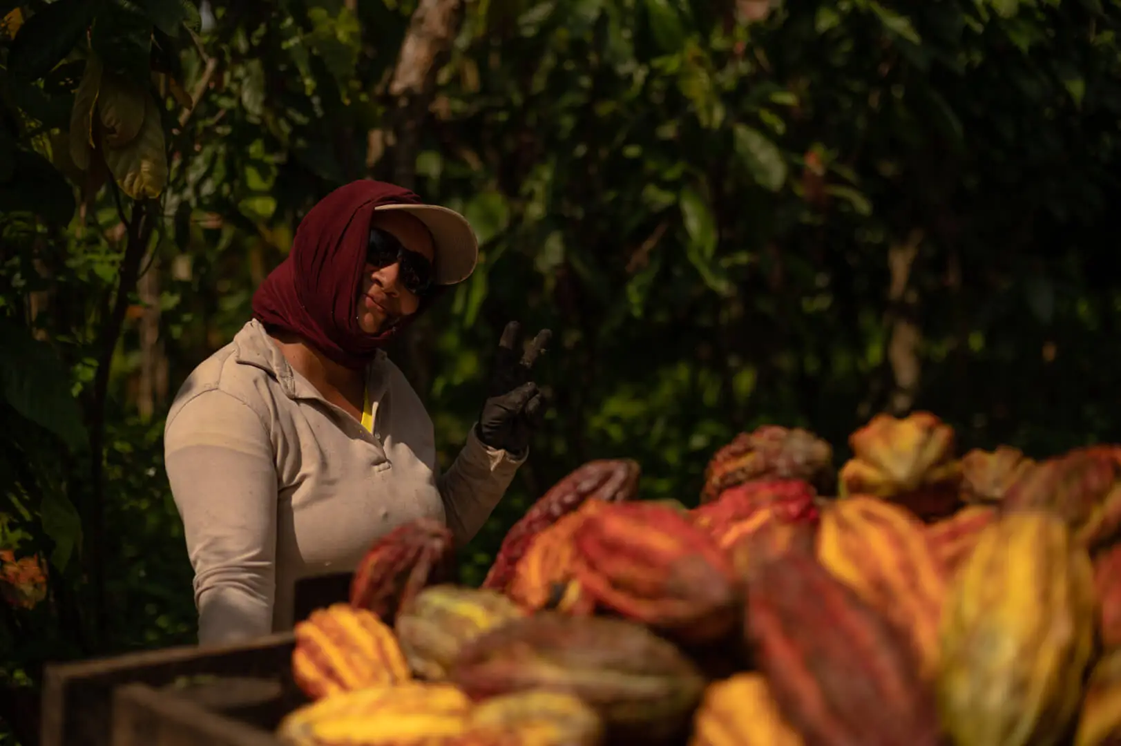 Mujer Andean Cacao